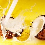 Foods That Burn Fat Fast 9 Coconut