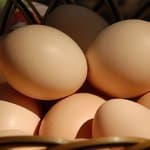 organic eggs