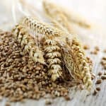 Foods That Burn Fat Fast 2 whole grain