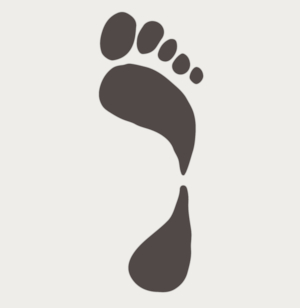 best brooks supination shoes