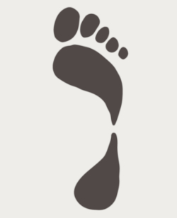 best shoe inserts for supination