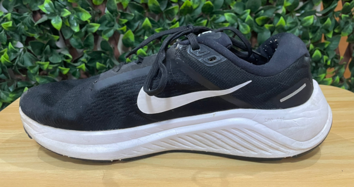 nike air zoom structure 24