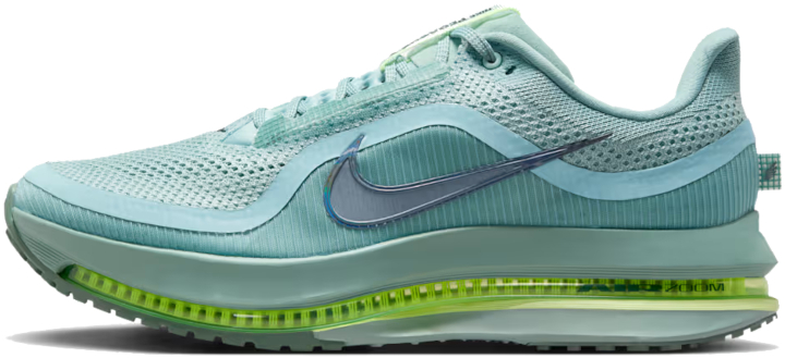 nike pegasus premium