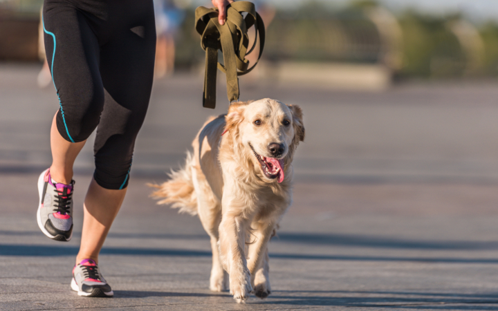 safe drop ranges you can rotate