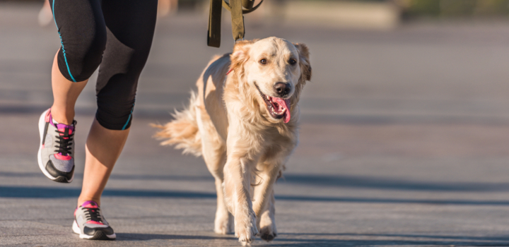 types of road running shoes